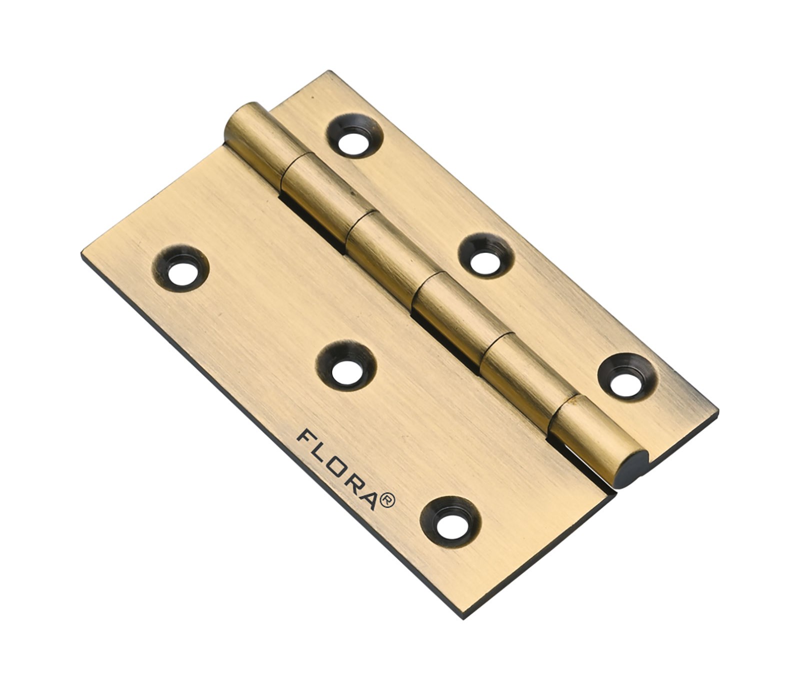 Brass Hinges