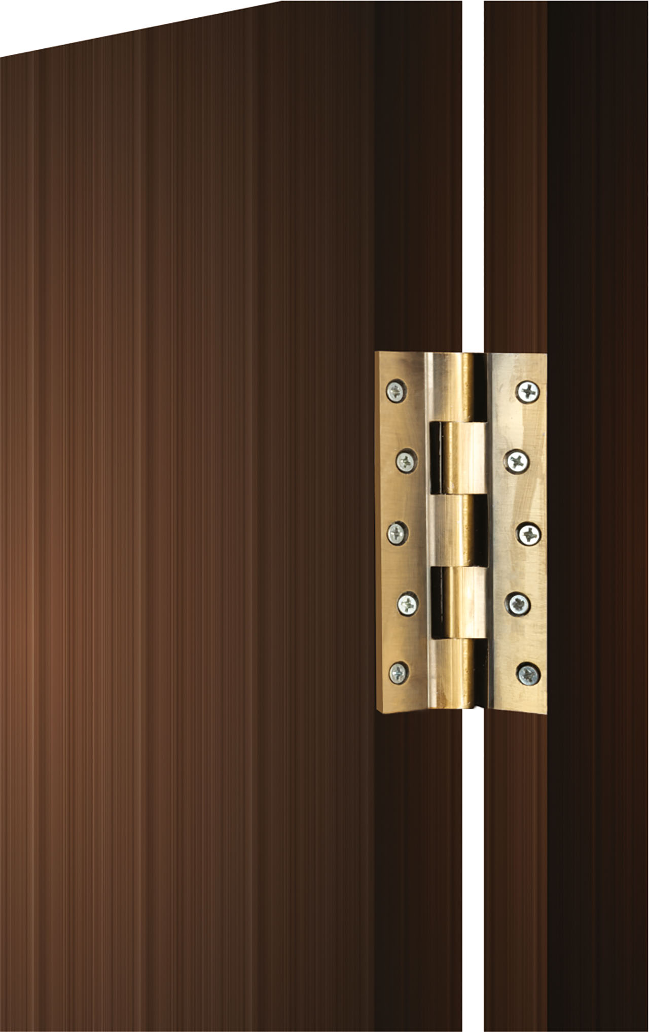Brass Hinges
