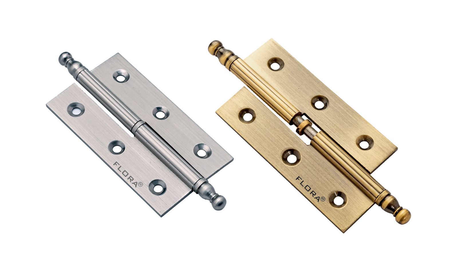 Brass Hinges